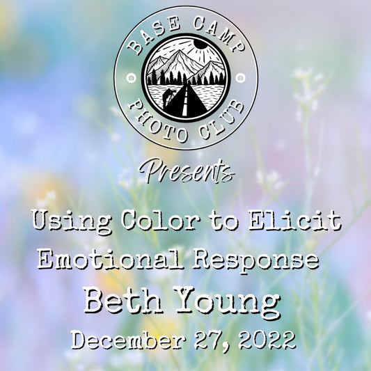 Using Color to Elicit Emotional Response with Beth Young [Meeting Recording]