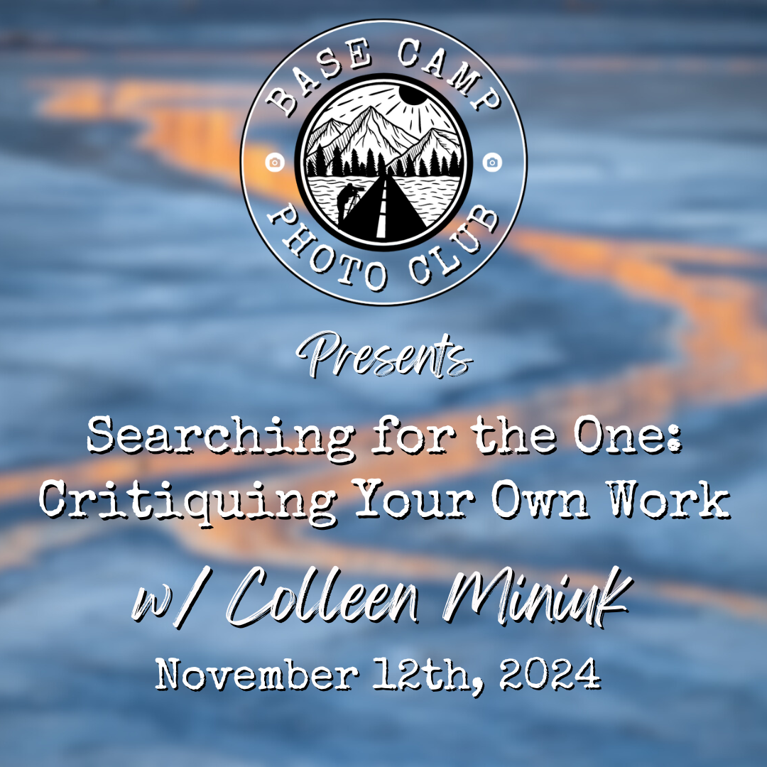 Searching for the One: Critiquing Your Own Work with Colleen Miniuk [Meeting Recording]