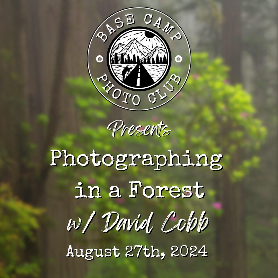 Photographing in a Forest with David Cobb [Meeting Recording]