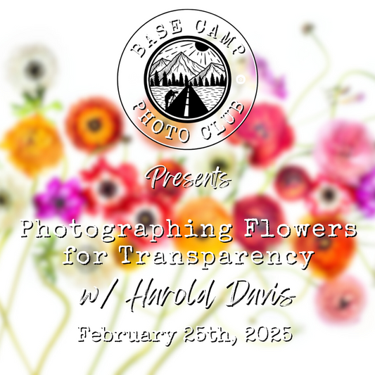 Photographing Flowers for Transparency with Harold Davis [Meeting Recording]