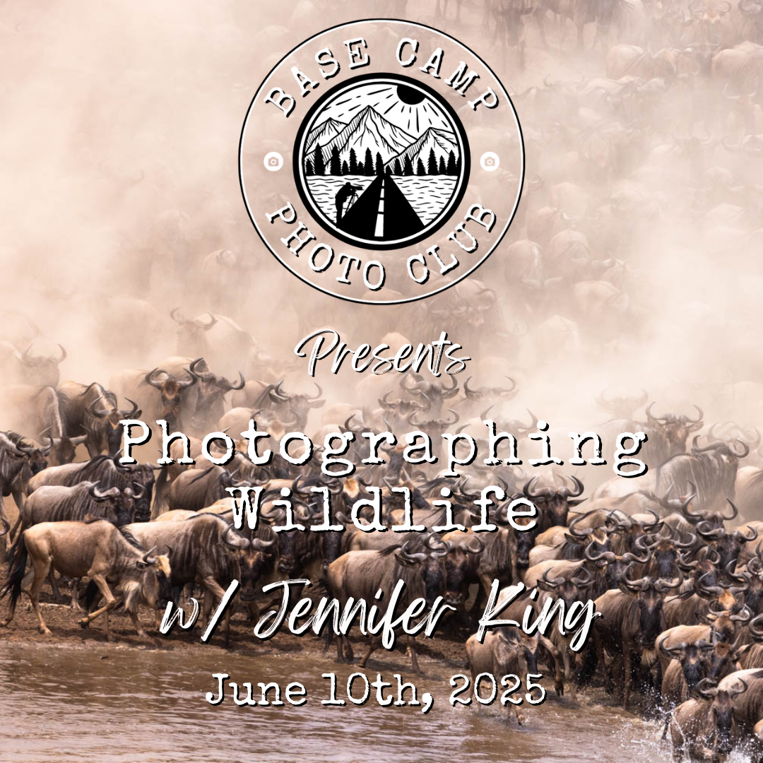 Photographing Wildlife with Jennifer King [Meeting Recording]