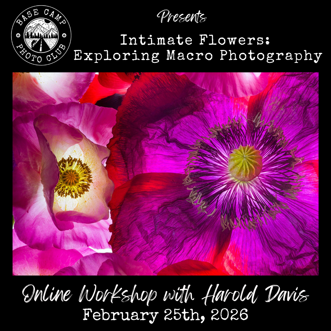 Intimate Flowers: Exploring Macro Photography with Harold Davis [Meeting Recording]