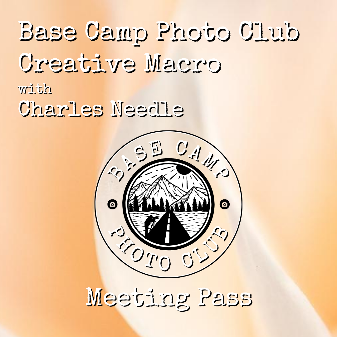 Creative Macro with Charles Needle [Meeting Recording]