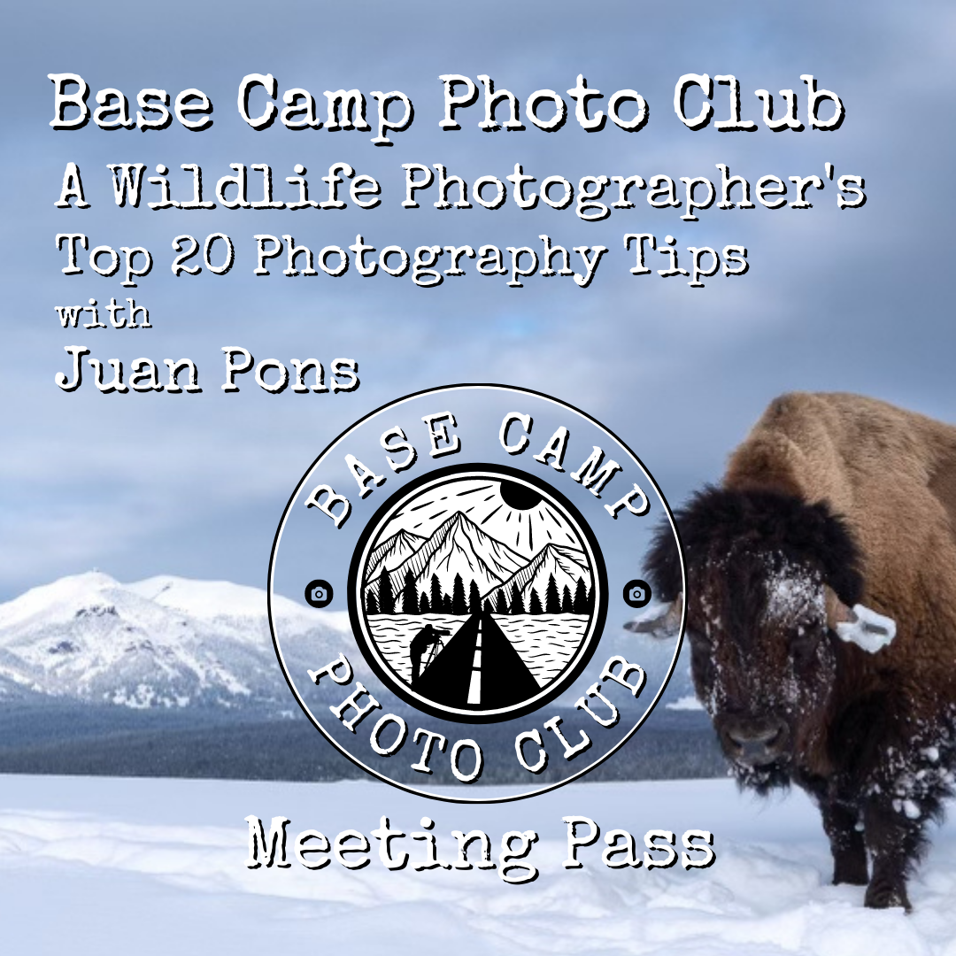 A Wildlife Photographer's Top 20 Tips with Juan Pons [Meeting Recording]